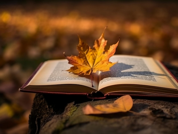 A book with a leaf on it is open to a page that says'fall'on it