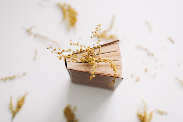 A book with yellow mimosa flowers on white