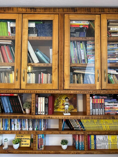 Bookcase with books figurines and flowerpots on the shelves