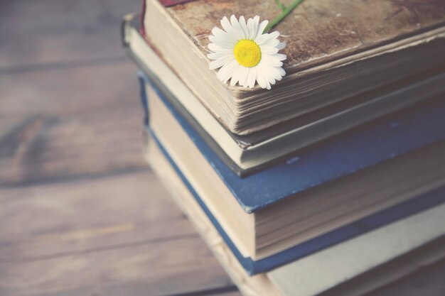 Books and chamomiles on wooden background