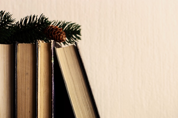 Libri e albero di natale con i coni sulla vecchia mensola di legno.