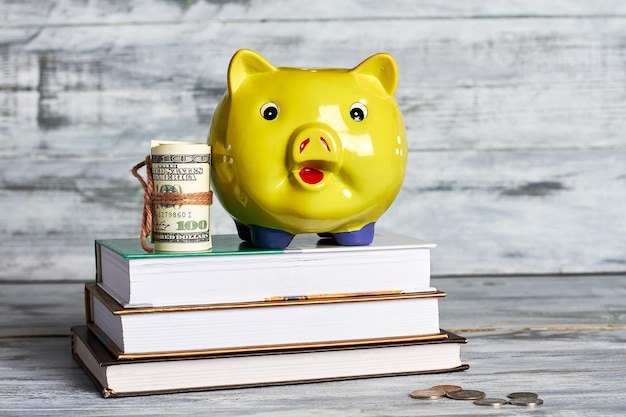 Books dollars and piggy box how to acquire knowledge