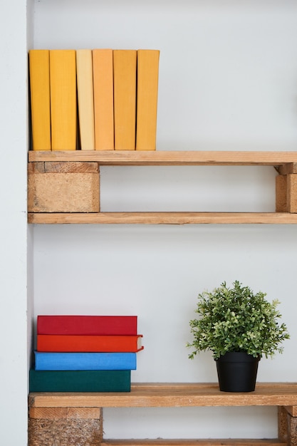 Photo books and flowers on wooden shelf