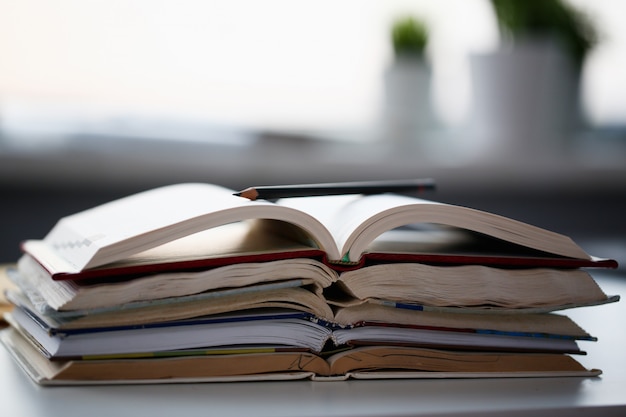 Books lie on the table in office at home