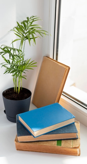 Books and plant arrangement