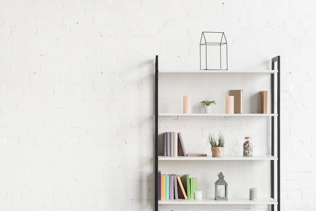 Photo books, show plant, and candles on shelves in living room