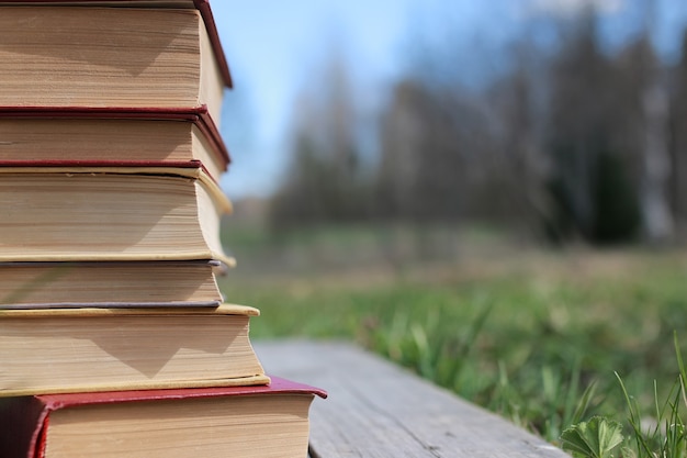 Books standing on a table