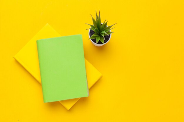 Books on a yellow table