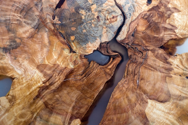 Foto boom gesneden plak sectie, ongelijke vorm, natuurlijke textuur, zacht gekleurde bruine en gele stomp natuurlijke vintage gebarsten oude kleurrijke achtergrond. doe het zelf kunstconcept.