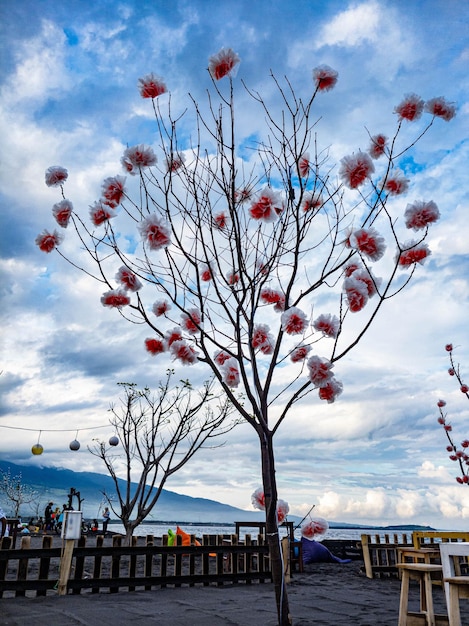 Boom met papieren bloemen aan het strand