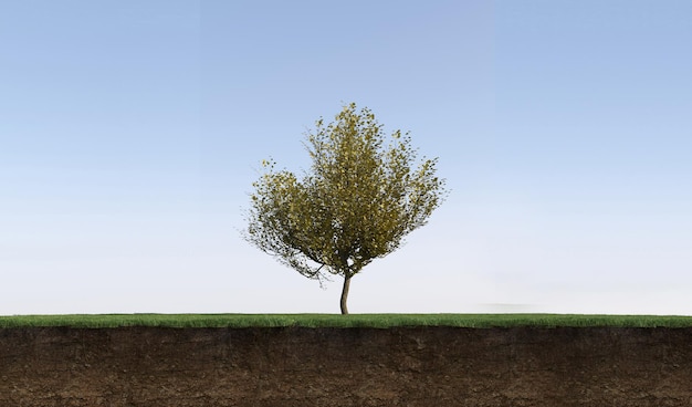 Boom op het gras en een stukje grond eronder, 3d render