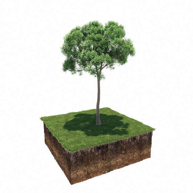 boom op het gras en een stukje grond eronder, 3d render