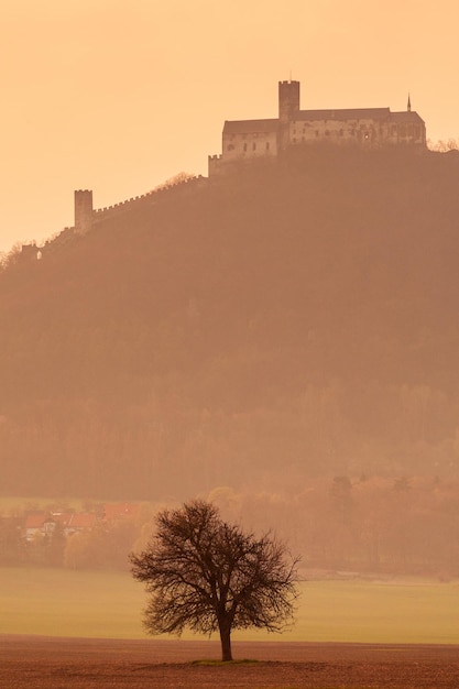 Boom tegen het kasteel aan het meer tijdens de zonsondergang