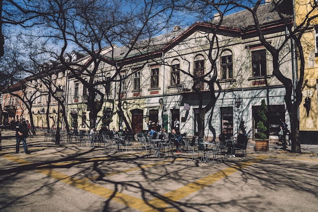 Boomschaduwen en Straatcafé in Subotica