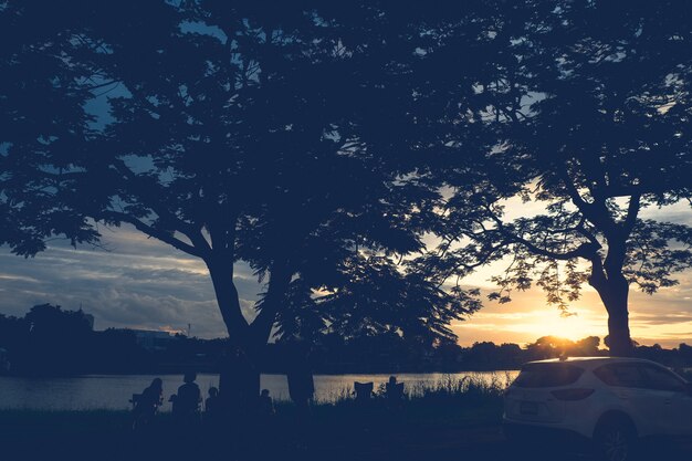 Boomsilhouet bij zonsondergang naast riviermeer