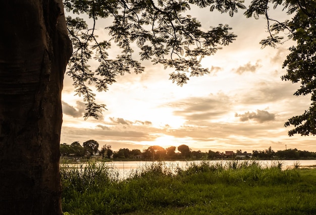Boomsilhouet bij zonsondergang naast riviermeer