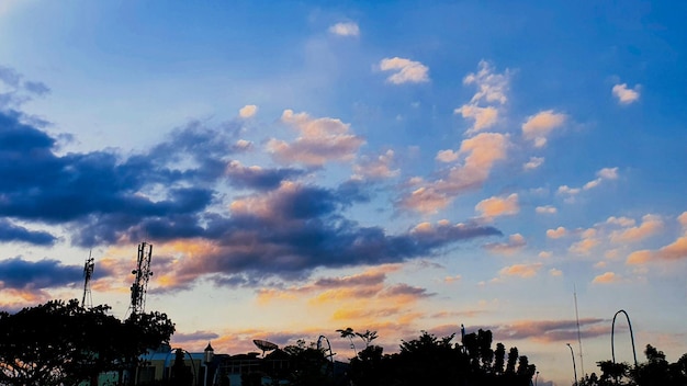 Boomsilhouet in de avondlucht