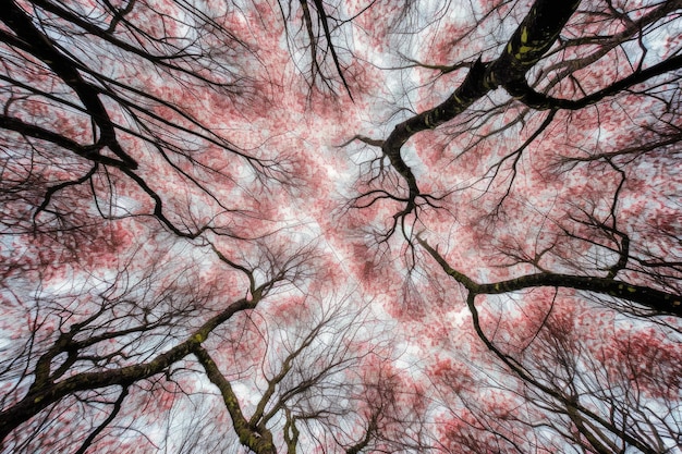Foto boomtoppen met levendige rode bladeren tegen een blauwe lucht generatieve ai