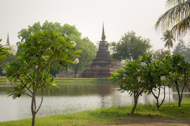 Boomtuin in het Sukhothai historische Park Sukhothai provincie Thailand