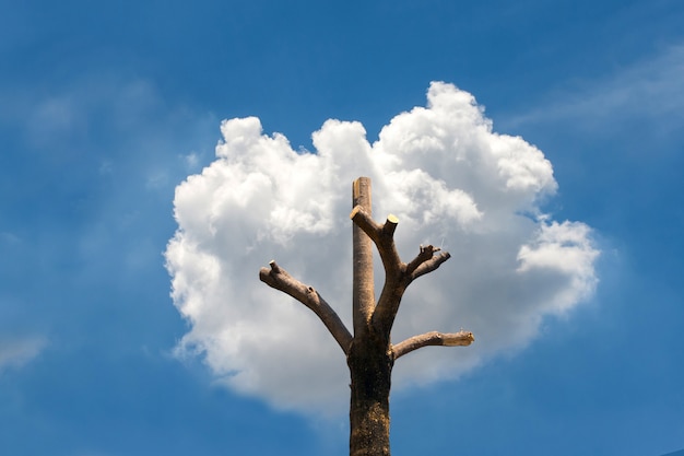 Boomvorm van de boomstronk en wolken.