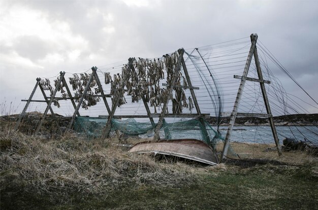 Boot aangemeerd op het veld bij de rivier tegen bewolkte lucht