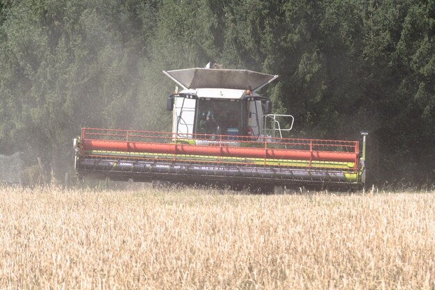 Boot op het veld