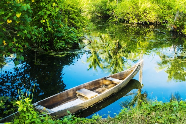 Boot verankerd in de rivier bij het bos