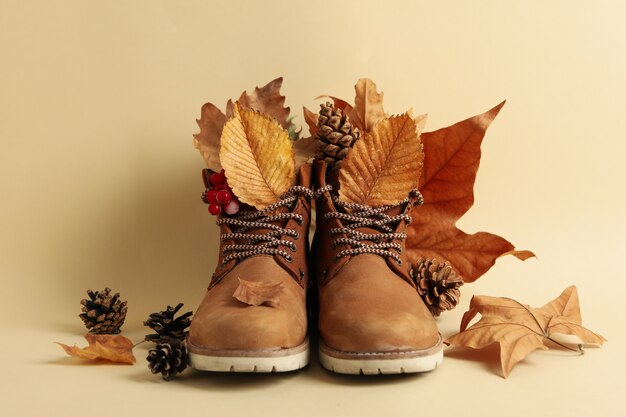 Boots, leaves and cones on beige background