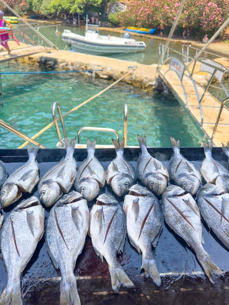 Boottocht en lunch op de zee vis op de boot vis op de grill