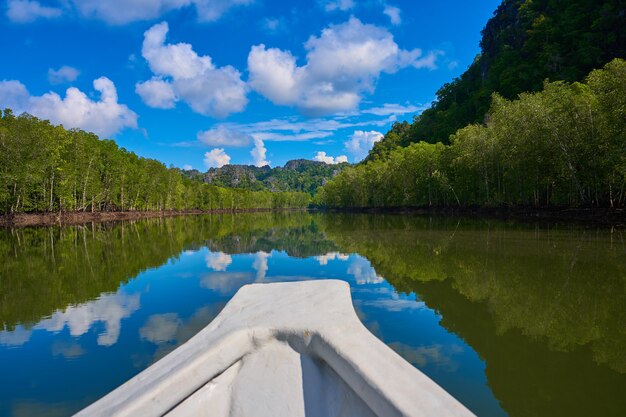 Boottocht langs de rivier in de mangrovebossen.