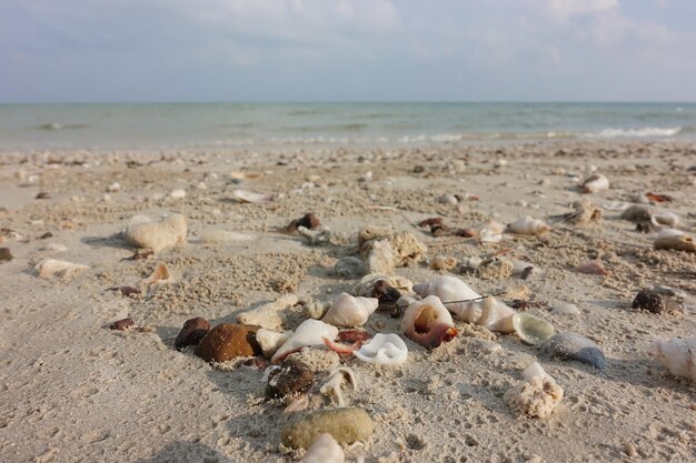 Foto bor mao spiaggia a chumporn