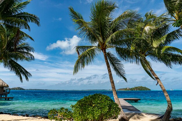 Bora bora polynesia paradise beach