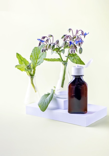 Borage oil in a bottle on a podium with leaves and flowers