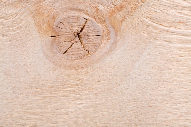 Bord close-up