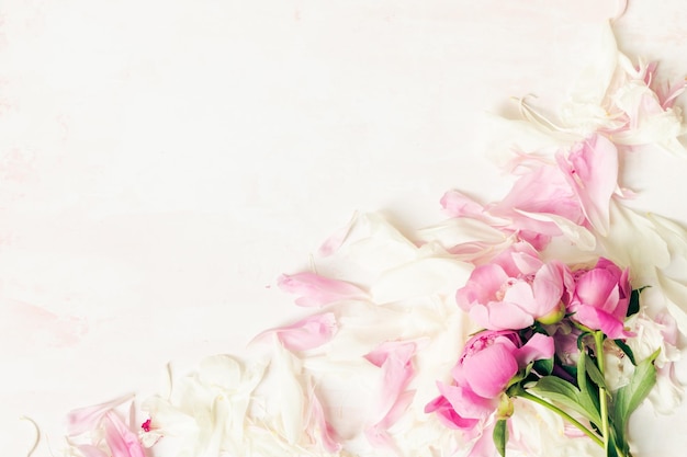 나무 테이블에 있는 아름다운 분홍색과 흰색 모란 꽃의 테두리와 텍스트 위쪽 보기 및 평평한 레이아웃 스타일을 위한 복사 공간