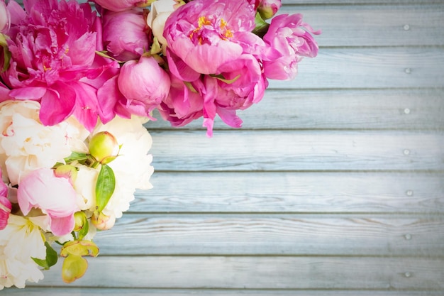 Border of Beautiful pink and white peony flowers on wooden table with copy space for your text top view and flat lay style