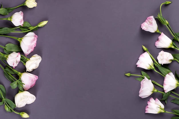 Border composition with empty space in the center made of blooming pink eustoma, flat lay. Floral decorative corners on black background.