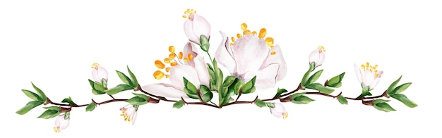 Border frame flowers spring watercolor