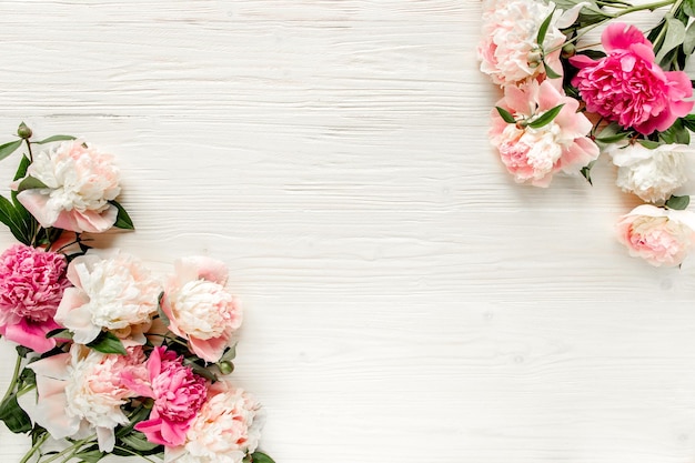 Border frame made of pink and beige peonies flower and isolated on white background Flat lay top view Frame of flowers