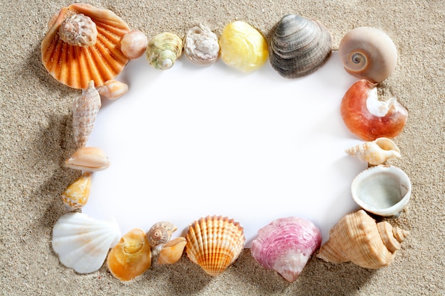 Border frame summer beach shell blank copy space