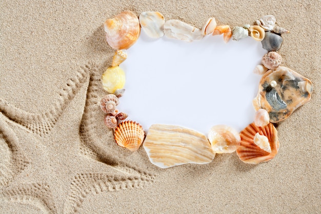 Photo border frame summer beach shell starfish copy space