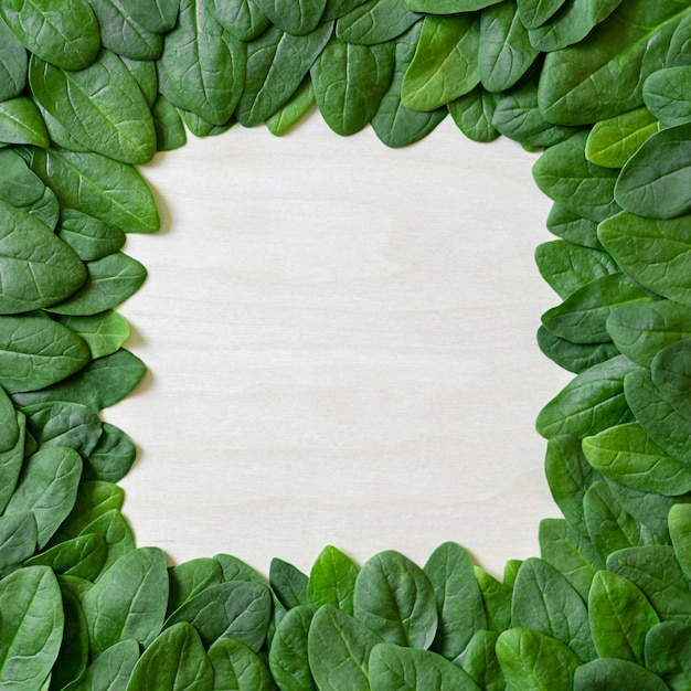 Border of fresh green leaves spinach on a wooden surface.