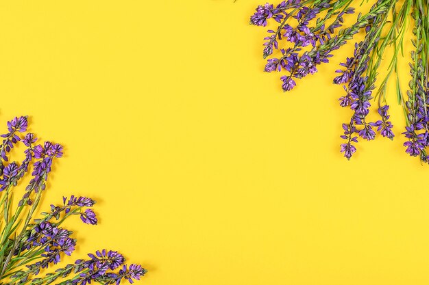 Border made with purple flowers on yellow background. Concept Spring or Summer backdrop.