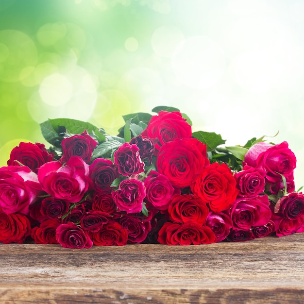 Photo border of red roses