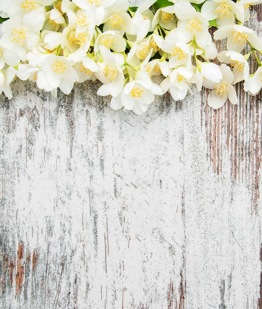 Border with jasmine flowers