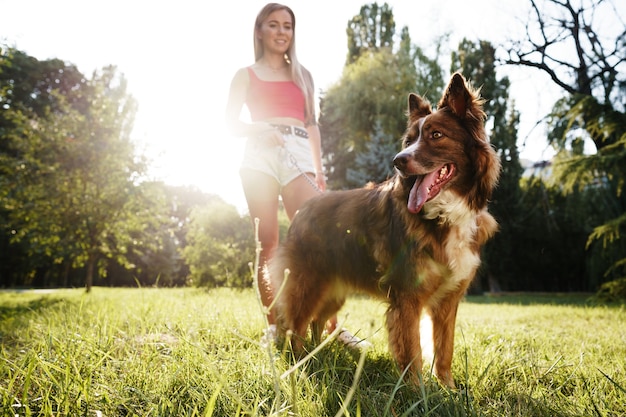 Bordercollie-hond op een wandeling in het park met zijn vrouwelijke eigenaar