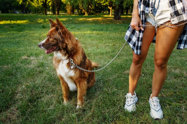 Bordercollie-hond op een wandeling in het park met zijn vrouwelijke eigenaar