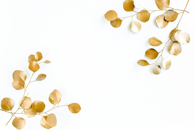 흰색 배경 평면 레이아웃 상단 보기에 금 가지 유칼립투스 잎의 프레임 테두리