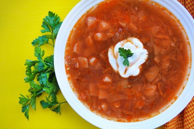 Borsch in outdoor cafe national dish