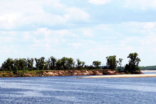 Bos aan de kust van de stille rivier